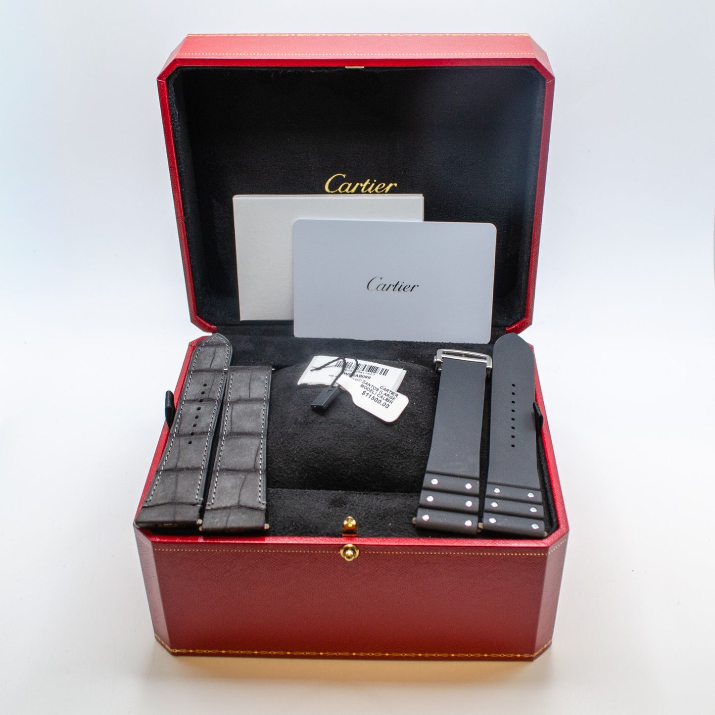2025 Cartier Santos de Cartier WSSA0089 Titanium Full Set with 2 Extra Straps