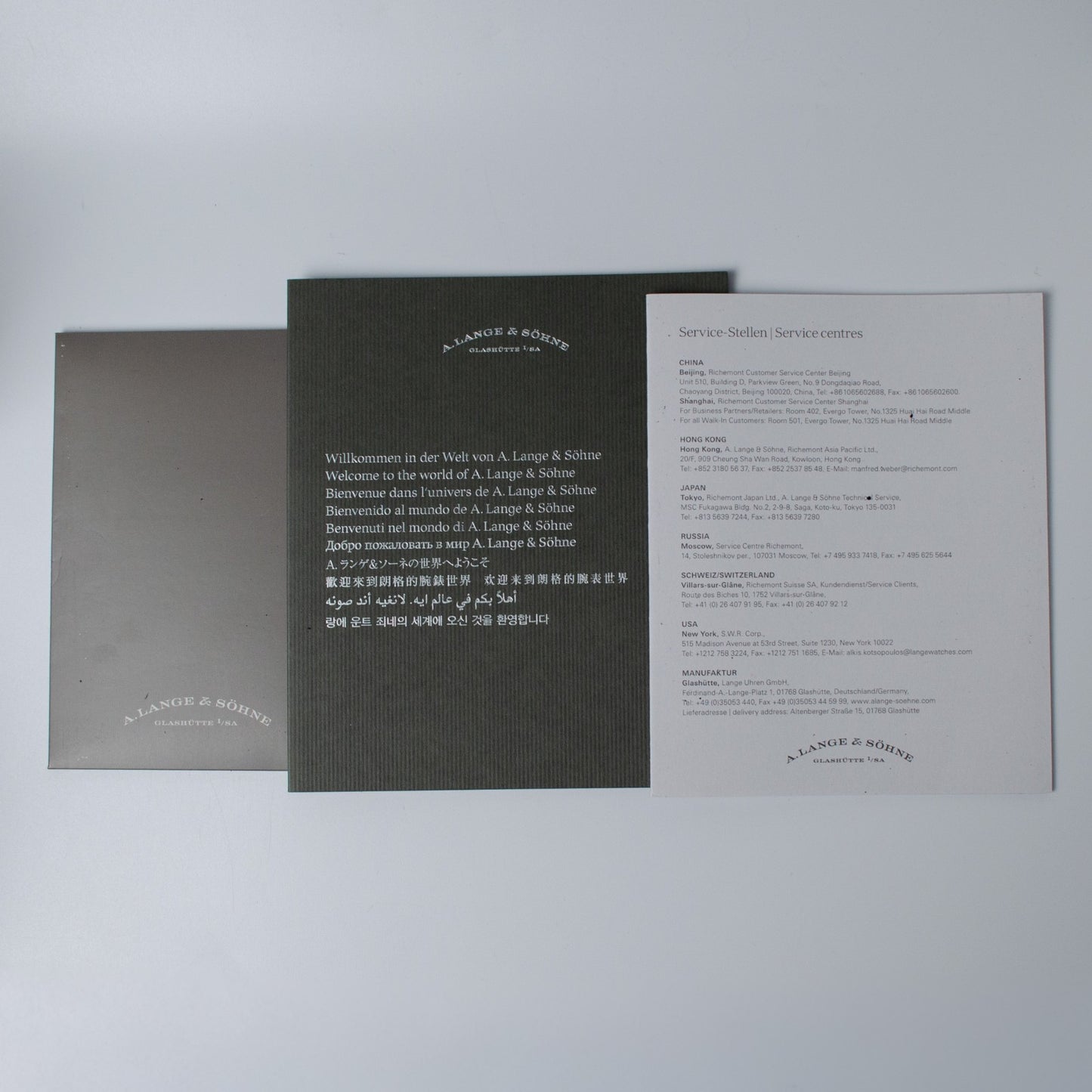 A. Lange & Söhne Grand Lange 1 Platinum 139.025