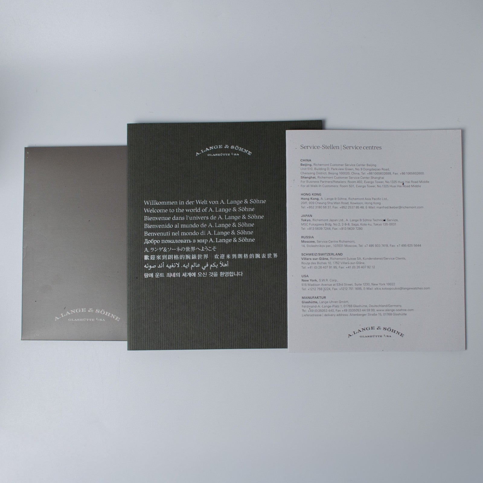 A. Lange & Söhne Grand Lange 1 Platinum 139.025