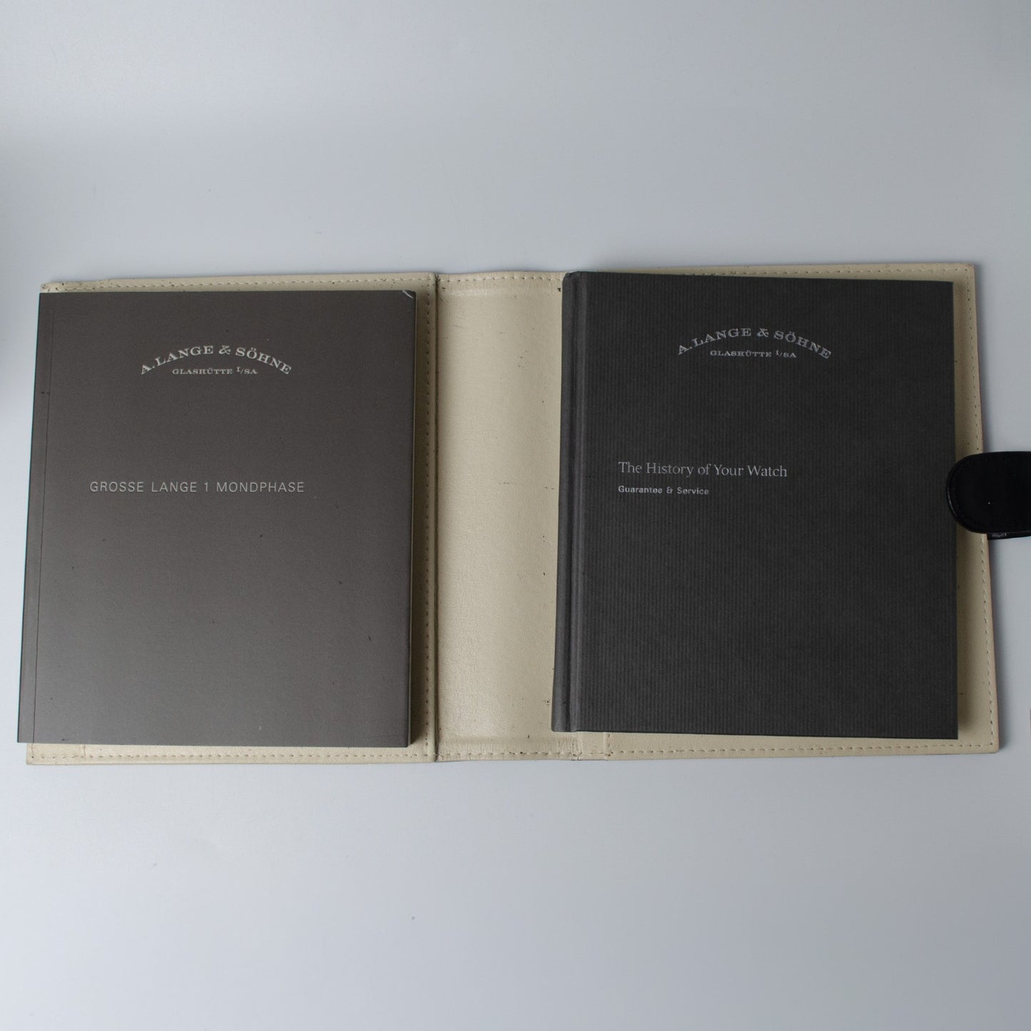 A. Lange & Söhne Grand Lange 1 Platinum 139.025