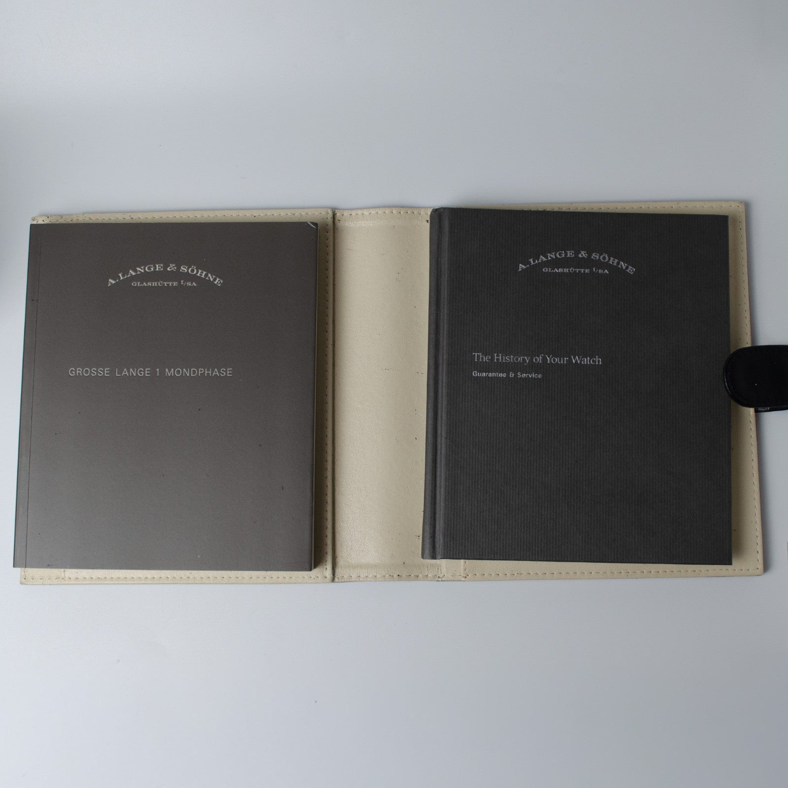 A. Lange & Söhne Grand Lange 1 Platinum 139.025